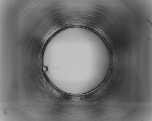 X0000102870790200809081205