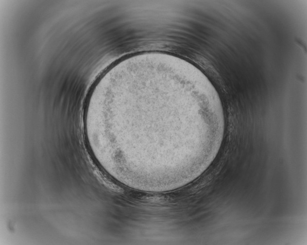 X0000102870792200809081205