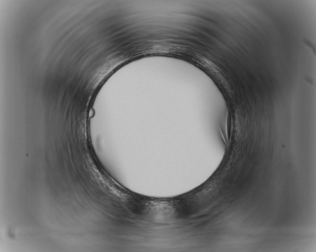 X0000102870794200809081204