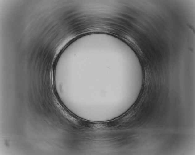 X0000102870796200809081204