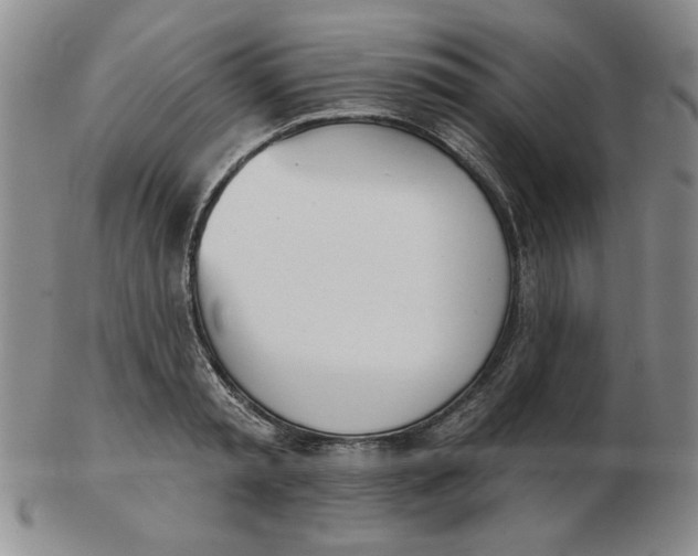 X0000102870797200809081204