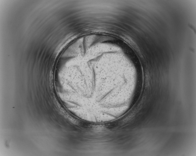 X0000102870798200809081204