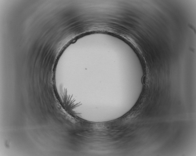 X0000102870799200809081204