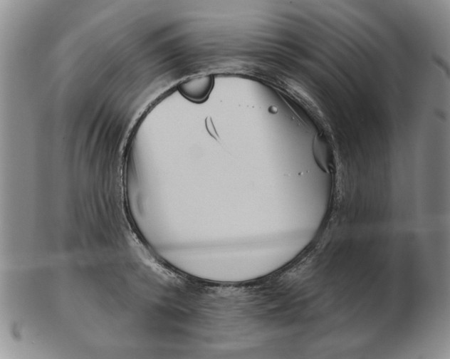 X0000102870800200809081204