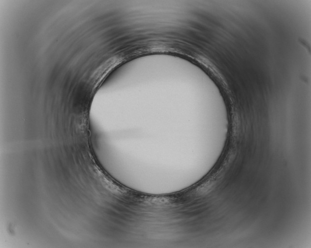 X0000102870801200809081204