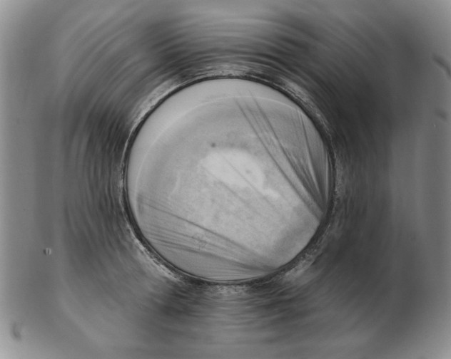 X0000102870802200809081204