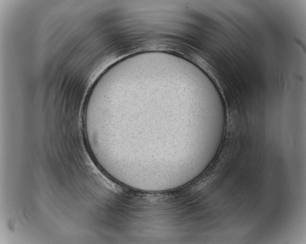 X0000102870803200809081204