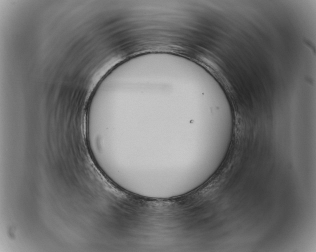 X0000102870804200809081204