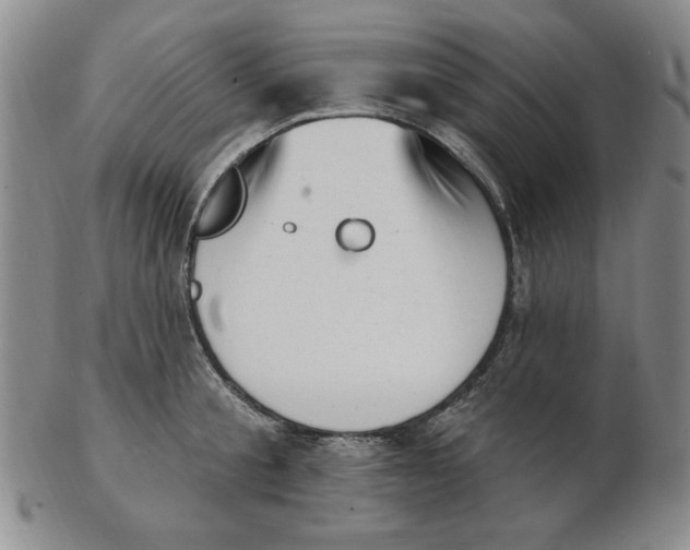 X0000102870805200809081204