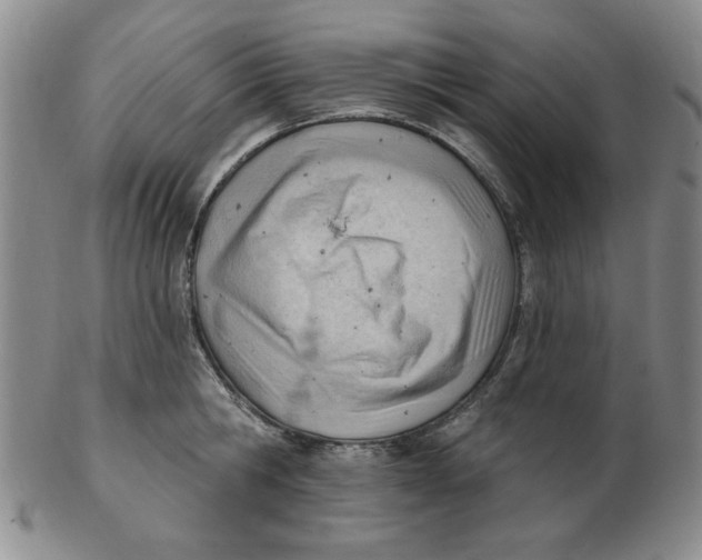 X0000102870806200809081204