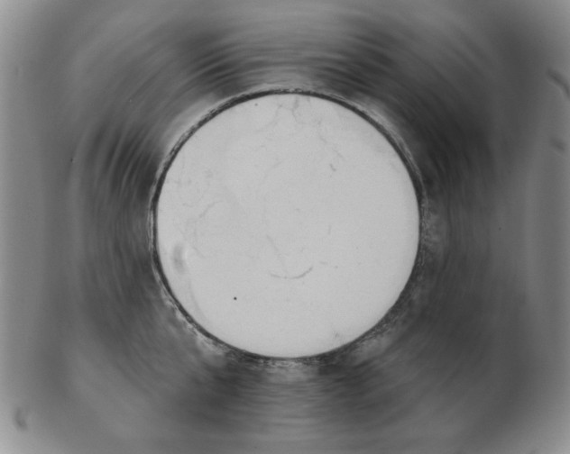 X0000102870807200809081204