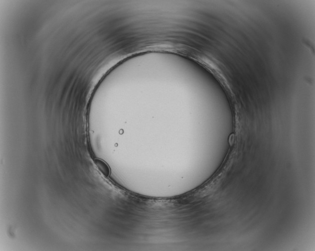 X0000102870808200809081204