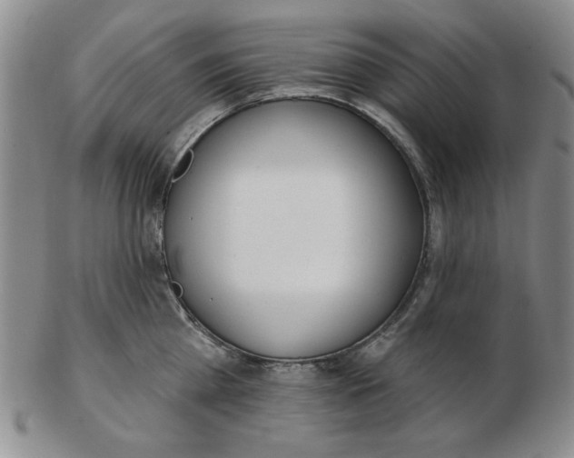 X0000102870809200809081204