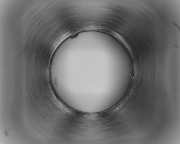 X0000102870810200809081204