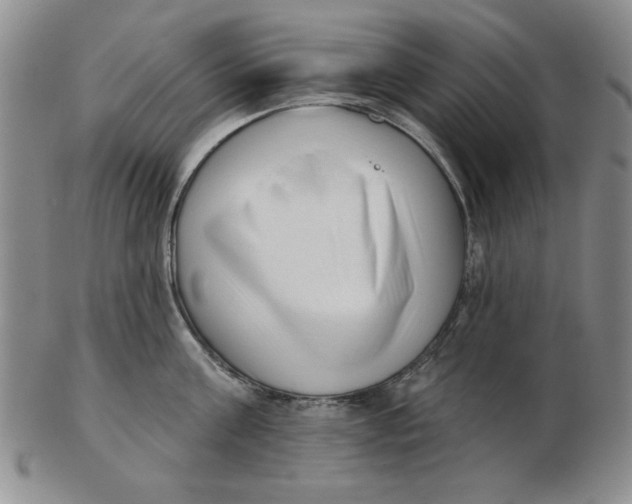 X0000102870811200809081204