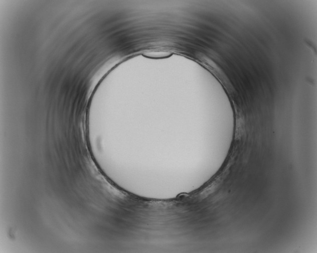 X0000102870812200809081204