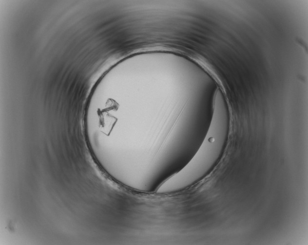 X0000102870813200809081204