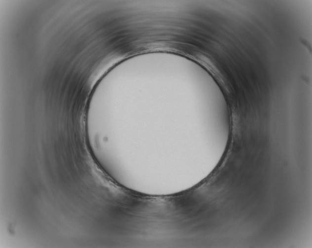 X0000102870814200809081204