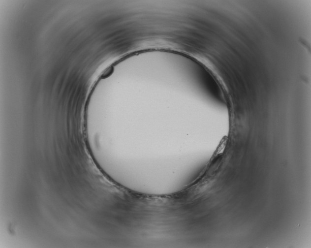 X0000102870815200809081204