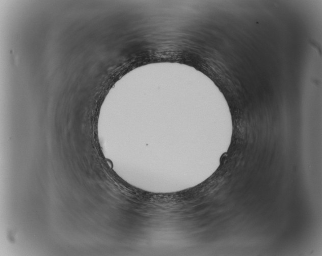 X0000102870817200809081203