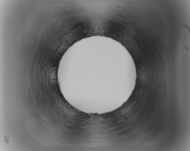 X0000102870818200809081204