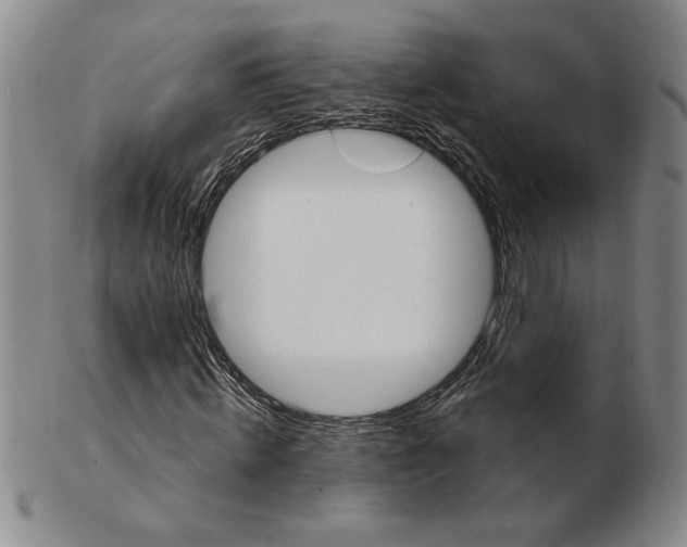 X0000102870820200809081204