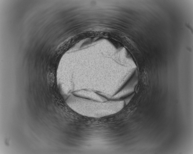 X0000102870821200809081204