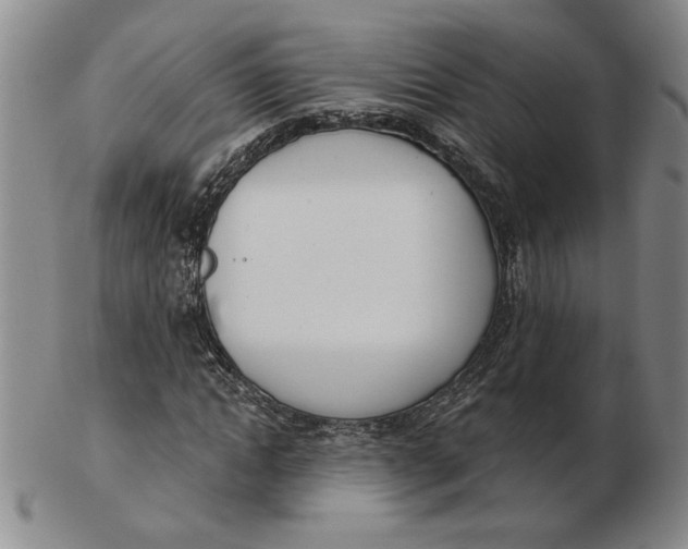 X0000102870822200809081204