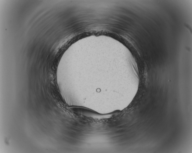 X0000102870823200809081204