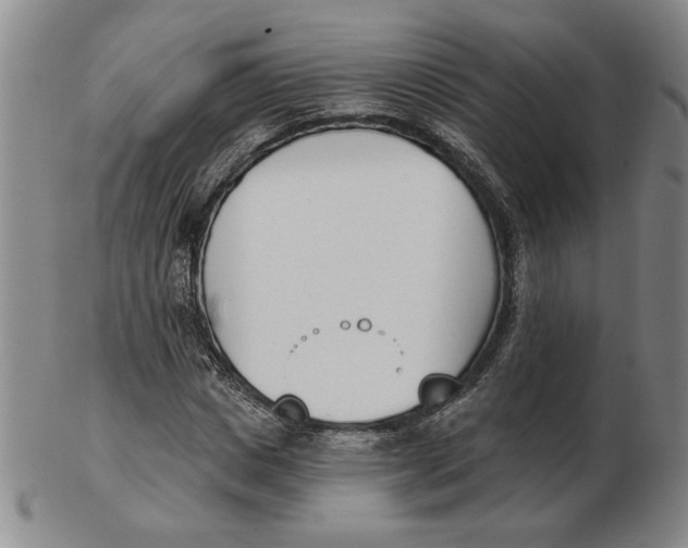 X0000102870825200809081204