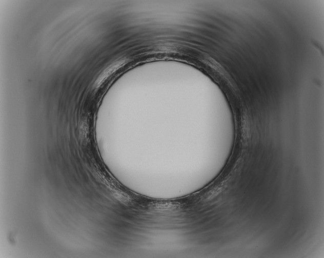 X0000102870826200809081204