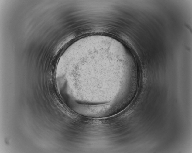 X0000102870827200809081204