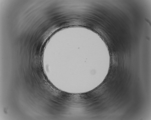 X0000102870828200809081204