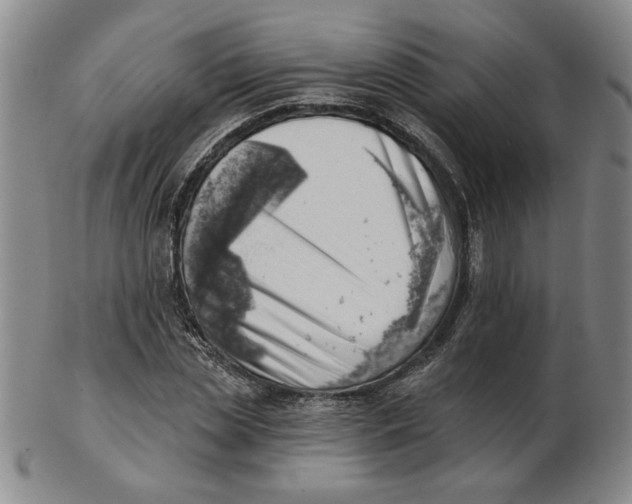 X0000102870829200809081204