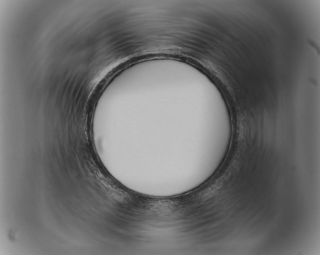 X0000102870830200809081204