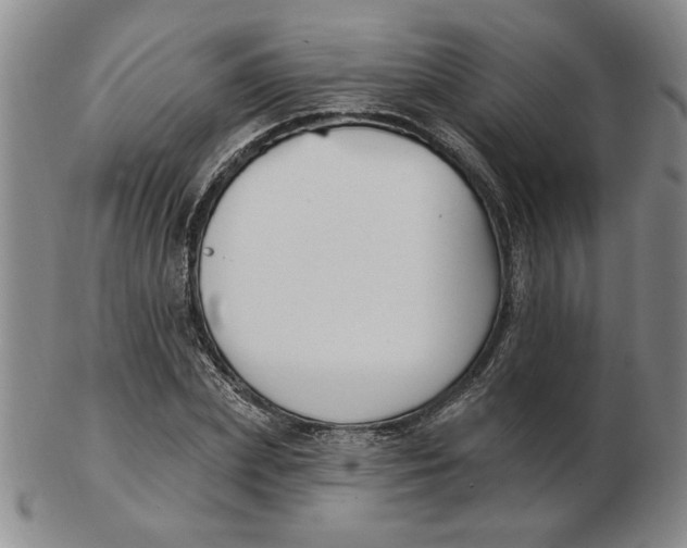 X0000102870831200809081204