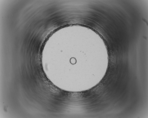 X0000102870832200809081204