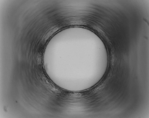 X0000102870833200809081204