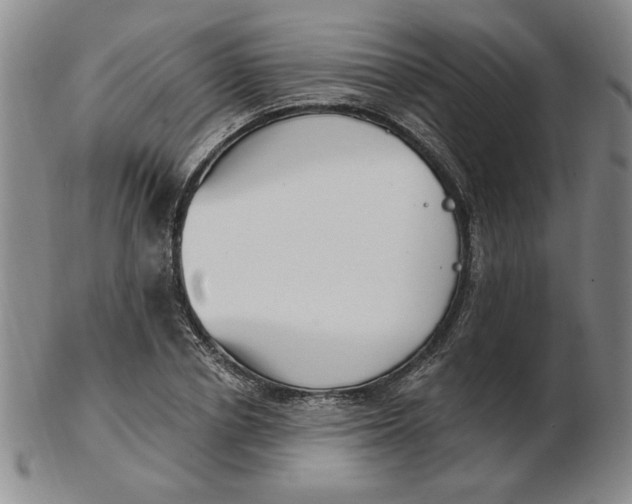 X0000102870834200809081204