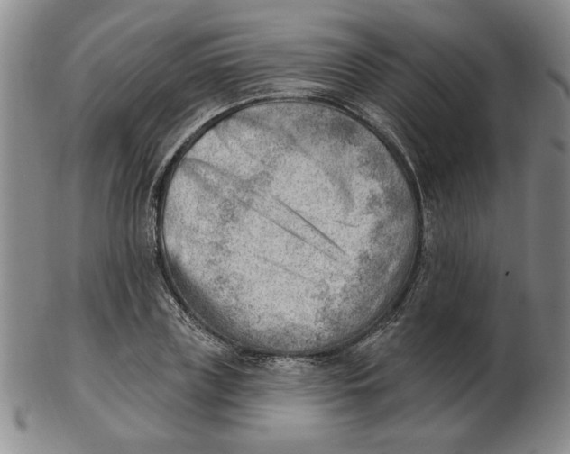 X0000102870835200809081204