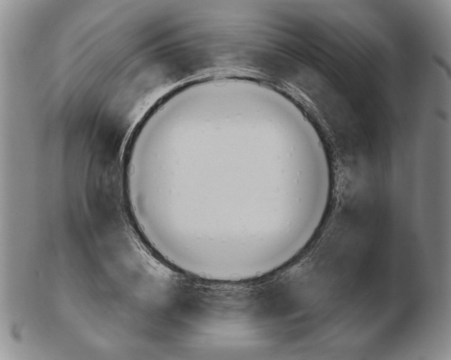 X0000102870836200809081204