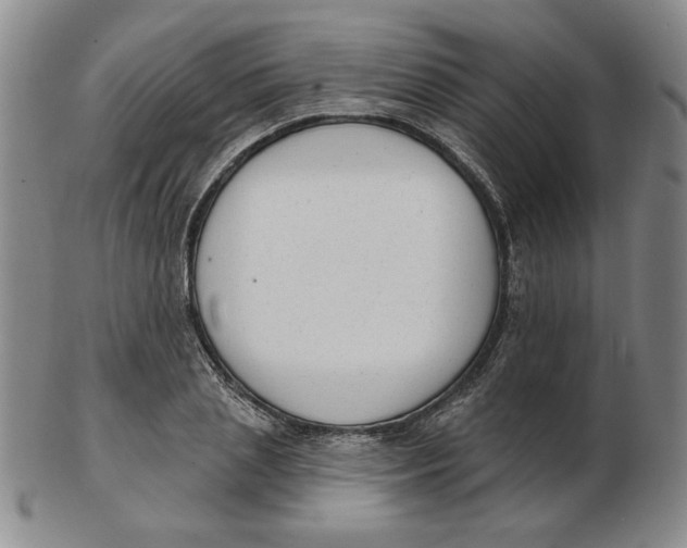 X0000102870837200809081204