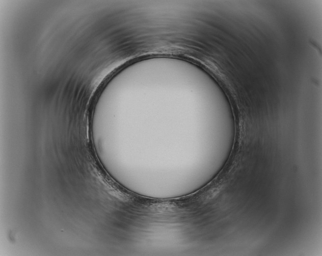 X0000102870838200809081204