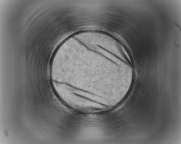 X0000102870839200809081204