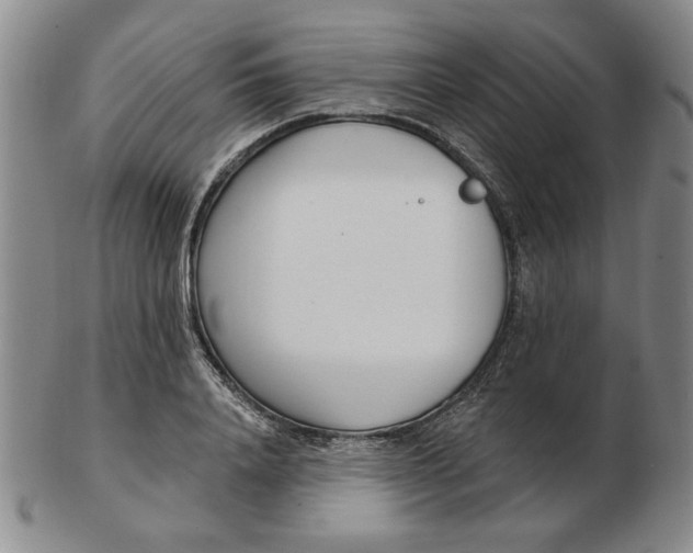 X0000102870840200809081204