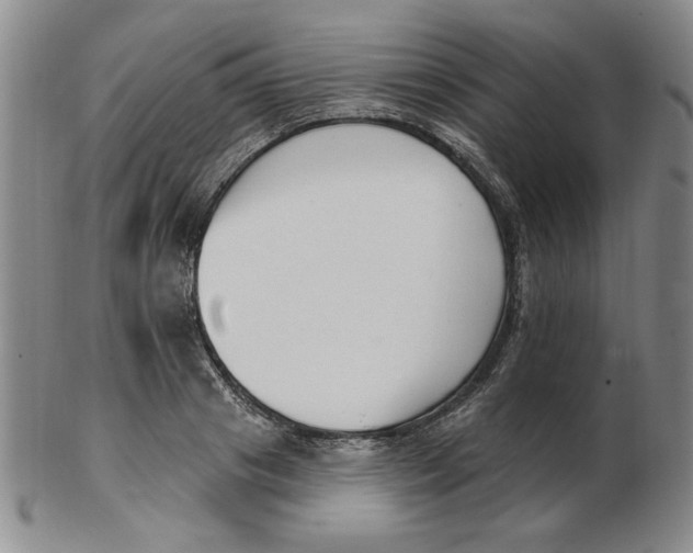 X0000102870841200809081204