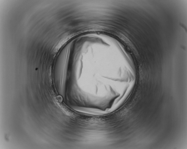 X0000102870842200809081204