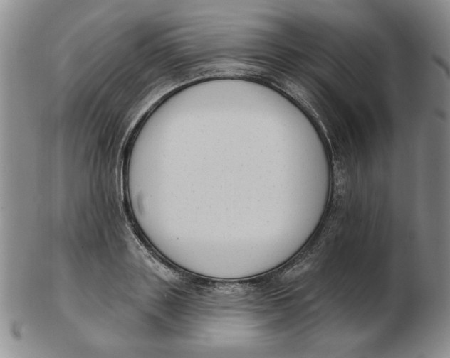 X0000102870843200809081204