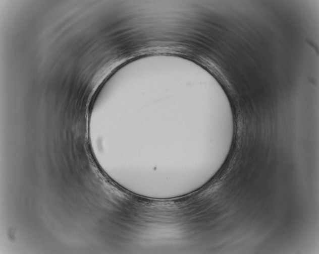 X0000102870844200809081204