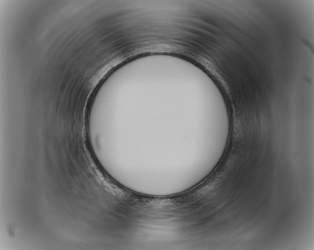 X0000102870845200809081204